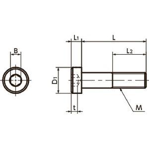 Made in Japan SLHS-M2-5 NBK Socket Head Cap Screws - Low Profile Pack of 50 - fast shipping 🇺🇸