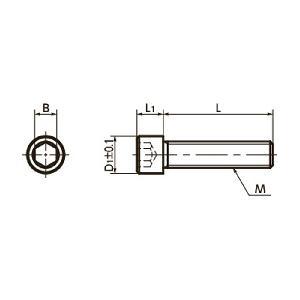 SNS-M6-20-EL NBK Socket Head Cap Screws Electroless Nickel Plating - Pack of 10. Made in Japan - fast shipping 🇺🇸