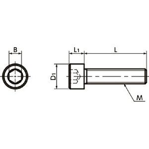 SNSL-M3-5 NBK Socket Head Cap Screws - SUS316L-Pack of 5- Made in Japan - fast shipping 🇺🇸