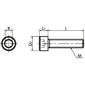 SNSMN-M3-6 NBK Hex Socket Head Cap Screws (Monel 400 equiv.)- Made in Japan - fast shipping 🇺🇸