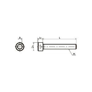 SNSS-M5-45-FT NBK Hex Socket Head Cap Screws - Full Thread. Made in Japan - fast shipping 🇺🇸