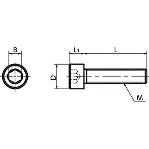 SPDC-M3-6-C NBK Plastic Screw - Socket Head Cap Screws - VESPEL√جºÀÜGrade√جº≈°SCP-5000√جº‚Ä∞ Made in Japan - fast shipping 🇺🇸