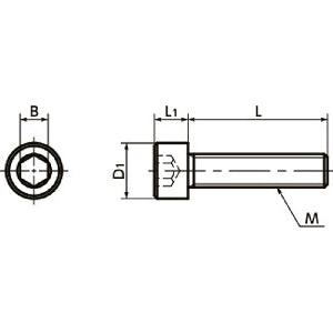SPEC-M5-10-C NBK Plastic screw - Hex Socket Head Cap Screw - Conductive PEEK Made in Japan - fast shipping 🇺🇸