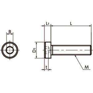10-Pack Made in Japan SLHL-M5-12 NBK Socket Head Cap Screws - Low Profile - fast shipping 🇺🇸