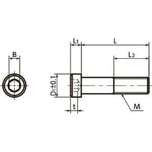 10-Pack Made in Japan SLHS-M3-10-SD NBK Socket Head Cap Screws - Low & Small Head. - fast shipping 🇺🇸