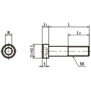 10-Pack Made in Japan SLHS-M8-16-SD NBK Socket Head Cap Screws - Low & Small Head. - fast shipping 🇺🇸