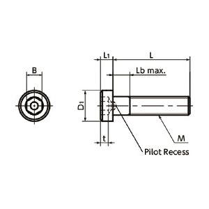 Made in Japan SLP-M5-10 NBK Socket Head Cap Screws - Low Profile - Pilot Recess Pack of 20 - fast shipping 🇺🇸