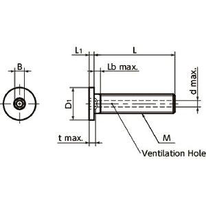 Made in Japan SVSHS-M4-6 NBK 4mm Socket Head Cap Vacuum Vented Screws - Ventilation Hole - Special Low Profile Pack of 20 - fast shipping 🇺🇸