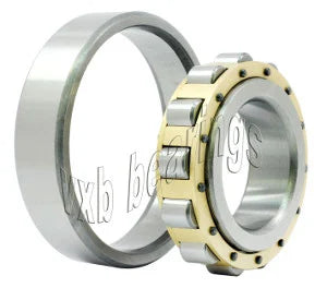 N311M Cylindrical Roller Bearing 55x120x29 Cylindrical Bearing - fast shipping 🇺🇸
