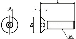SNFCM-M4-8 NBK Hexagon Socket Countersunk Head Screw - Molybdenum One Screw Made in Japan - fast shipping 🇺🇸