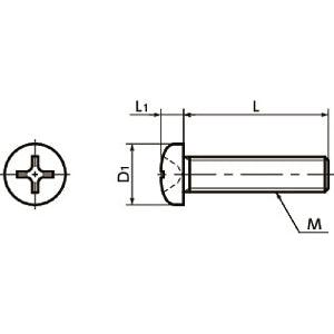 SNPT-M2-6 NBK Cross Recessed Pan Head Machine Screws - Titanium- Made in Japan - fast shipping 🇺🇸