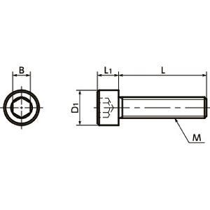 SNSH-M4-8-C22 NBK Socket Head Cap Screw - Hastelloy C-22 equiv Made in Japan - fast shipping 🇺🇸