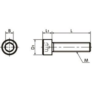 SNSH-M8-16-C22 NBK Socket Head Cap Screw - Hastelloy C-22 equiv Made in Japan - fast shipping 🇺🇸
