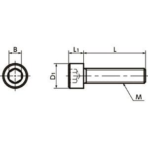 SNSP-M5-25 NBK Socket Head Cap Screw - Phosphor Bronze Made in Japan - fast shipping 🇺🇸