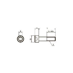SNSS-3/8-16-5/8 NBK Hex Socket Head Cap Screws - Inch Thread- Pack of 10. Made in Japan - fast shipping 🇺🇸