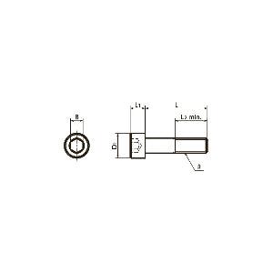SNSS-#5-40-5/16 NBK Hex Socket Head Cap Screws - Inch Thread- Pack of 10. Made in Japan - fast shipping 🇺🇸