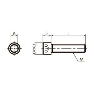 SNSS-M10-30-MO NBK Socket Head Cap Screws MoS2 Coating - Pack of 10. Made in Japan - fast shipping 🇺🇸