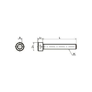 SNSS-M5-80-FT NBK Hex Socket Head Cap Screws - Full Thread. Made in Japan - fast shipping 🇺🇸