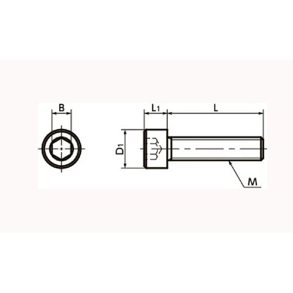 SNSS-M8-16-TF NBK Hex Socket Head Cap Screws - Teflon® Coating One Screw Made in Japan - fast shipping 🇺🇸