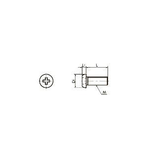 SNZT M1.6-2 NBK 2mm Titanium Pan Head Machine Screws for Precision Instruments - fast shipping 🇺🇸