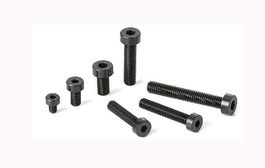 SPA-M5-12-LC NBK Plastic screw - Hex Socket Low Head Bolt - RENY Pack of 20 Screws Made in Japan - fast shipping 🇺🇸