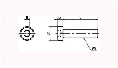SPA-M6-30-LC NBK Plastic screw - Hex Socket Low Head Bolt - RENY Pack of 20 Screws Made in Japan - fast shipping 🇺🇸