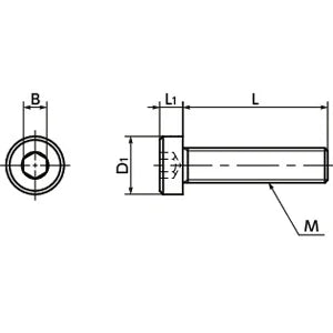 SPE-M6-25-LC NBK Plastic screw - Hex Socket Low Head Bolt - PEEK Made in Japan - fast shipping 🇺🇸