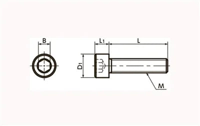 SPS-M3-10-C NBK Plastic Screw - Socket Head Cap Screws - PPS Pack of 20 Screws - Made in Japan - fast shipping 🇺🇸