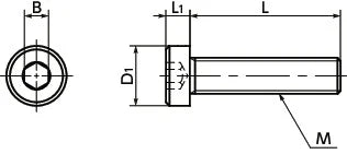 SPS-M5-20-LC NBK Plastic screw - Hex Socket Low Head Bolt - PPS 10-Pack Screws - Made in Japan - fast shipping 🇺🇸