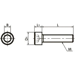 SPV-M6-10-C NBK Plastic Screw - Socket Head Cap Screws - PVDF Made in Japan - fast shipping 🇺🇸