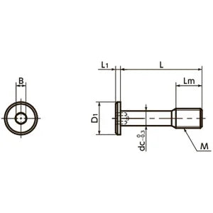 SSCHS-M8-30 NBK Socket Head Cap Captive Screws - Special Low Profile Made in Japan - fast shipping 🇺🇸
