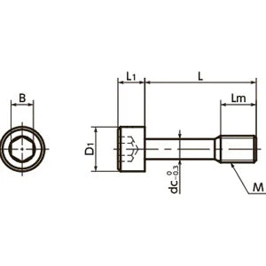 SSCLS-M5-20 NBK Socket Head Cap Captive Screws - Low Profile Made in Japan - fast shipping 🇺🇸