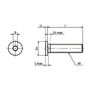 SSHT-M3-6 NBK Socket Head Cap Screws - Special Low Profile - Pure Titanium -Made in Japan - fast shipping 🇺🇸