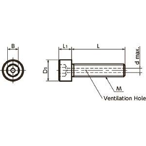 SVST-M4-10 NBK Hex Socket Head Cap Vacuum Vented Screws - Ventilation Hole - Titanium M4 length 10mm Made in Japan - fast shipping 🇺🇸